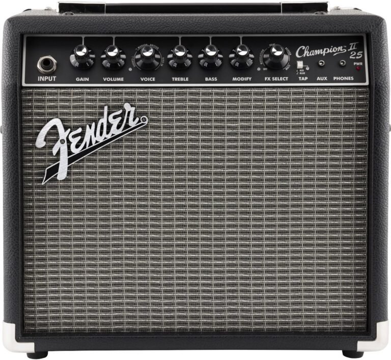 fender champion 2
